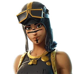 RENEGADE RAIDER